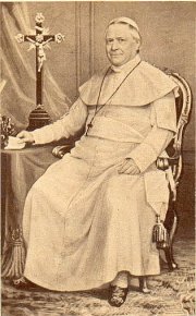 Papst Pius IX. (Bild: Wikipedia)